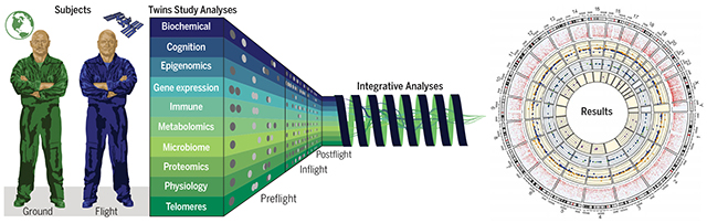 graphic file with name nihms-1618416-f0011.jpg