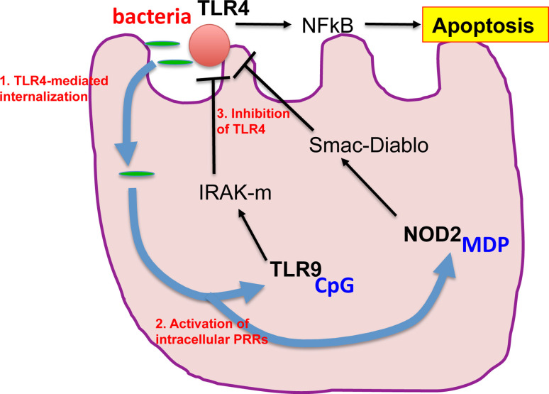 Fig. 3