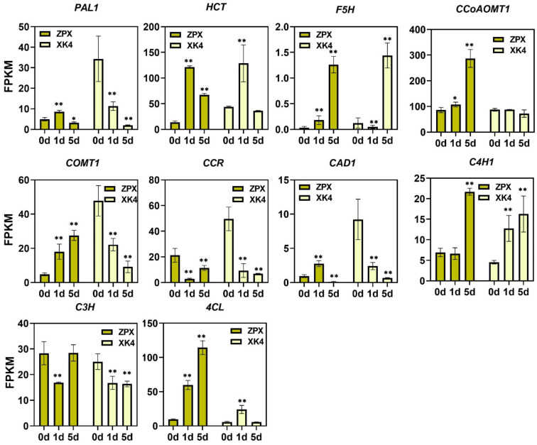 Figure 5