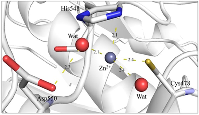 Figure 6