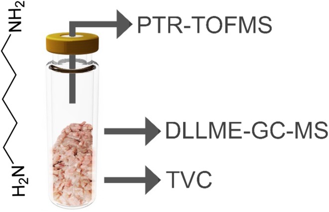 graphic file with name 706_2018_2218_Figa_HTML.jpg