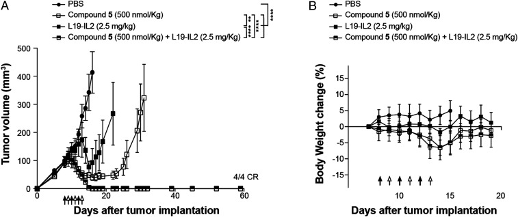 Fig. 6.