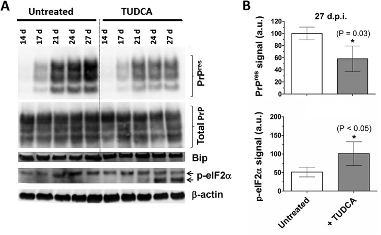 FIG 6