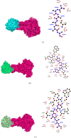 Figure 3.