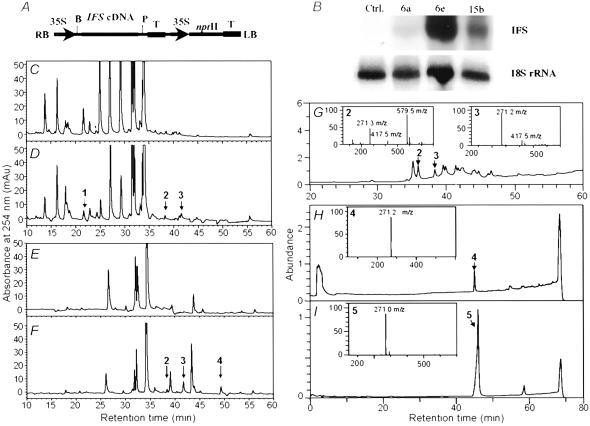 Fig 2.