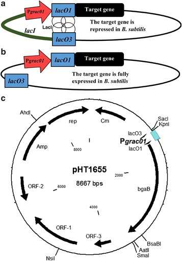 Fig. 1