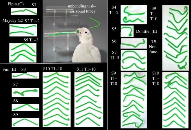 Figure 4.