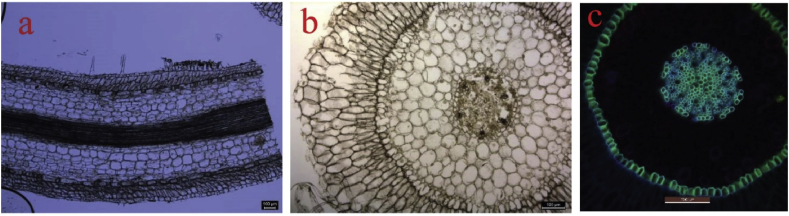 Fig. 2