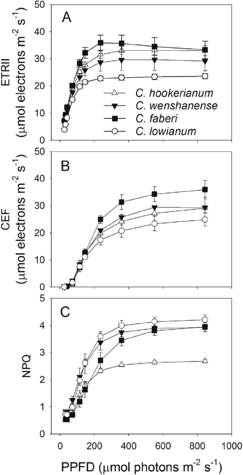 Fig. 5