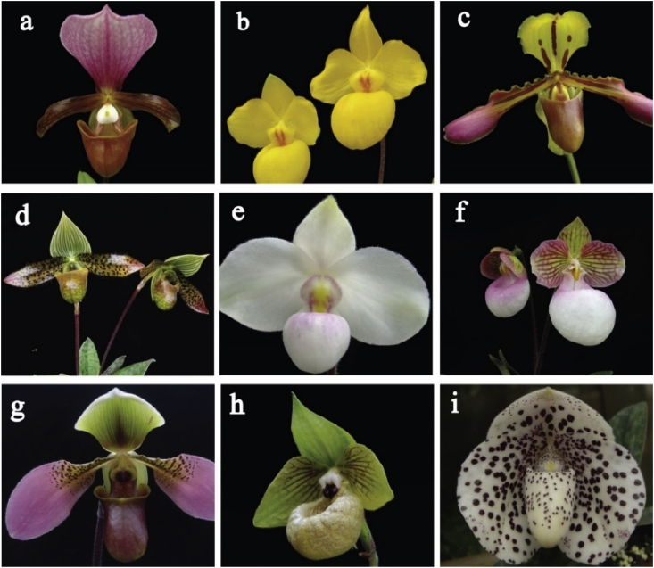 Fig. 1