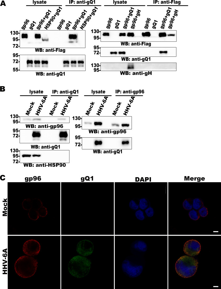 FIG 2