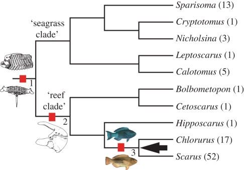 Figure 3.