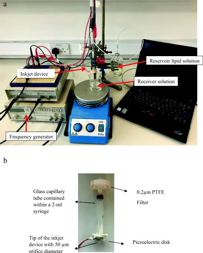 Fig. 1