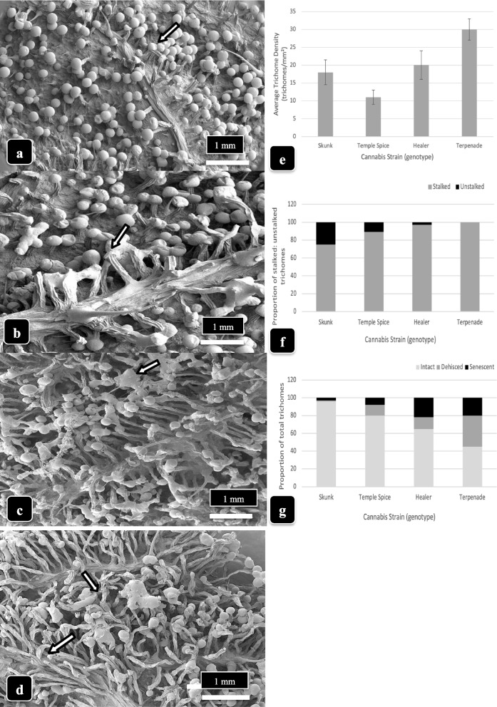 Fig. 15