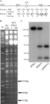 FIG. 3.