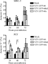 FIG. 7.