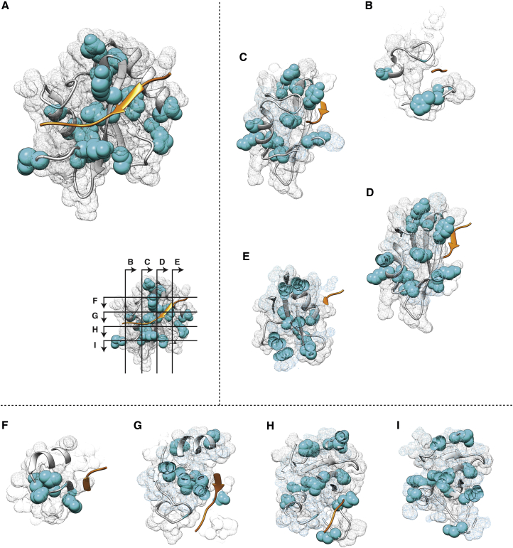 Figure 6