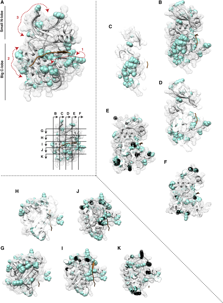 Figure 4