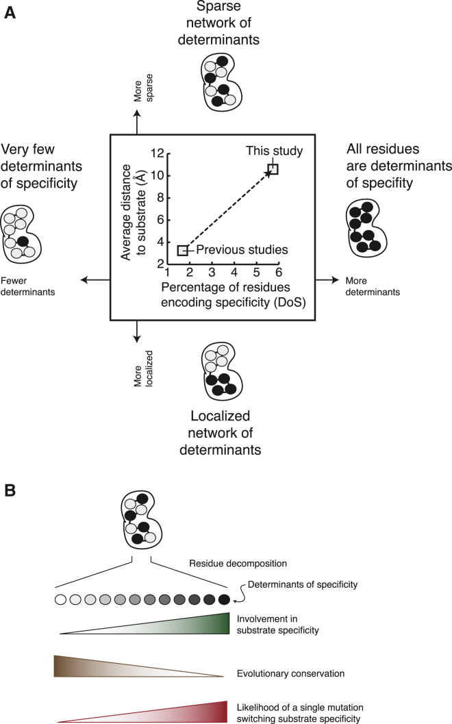 Figure 7