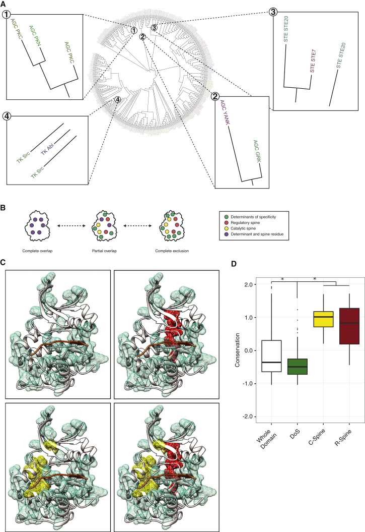 Figure 5