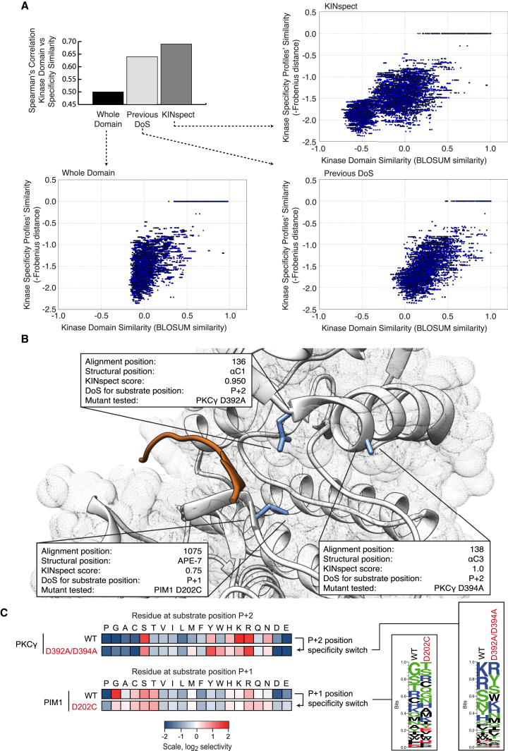 Figure 3