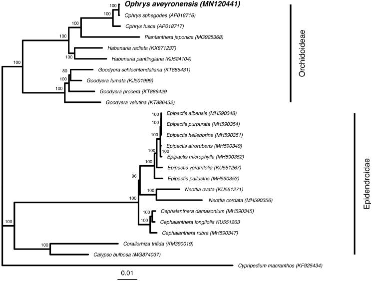 Figure 1.