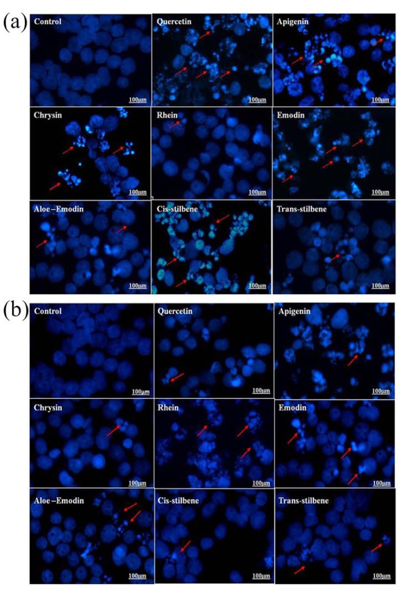 Fig. (4)