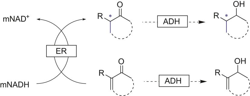 Scheme 6