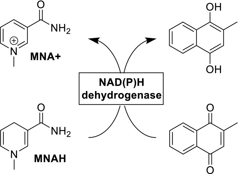 Scheme 3