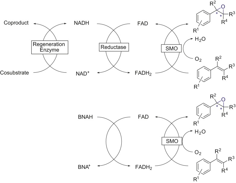 Scheme 7