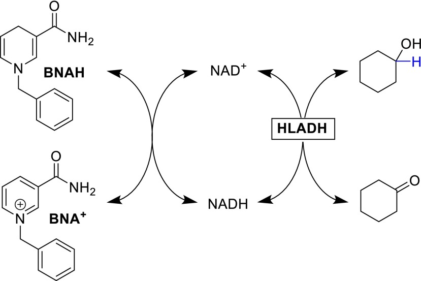 Scheme 2