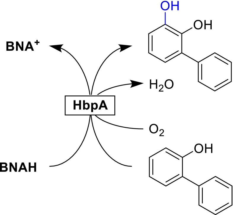 Scheme 4