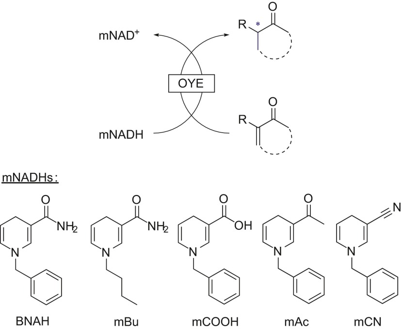 Scheme 5