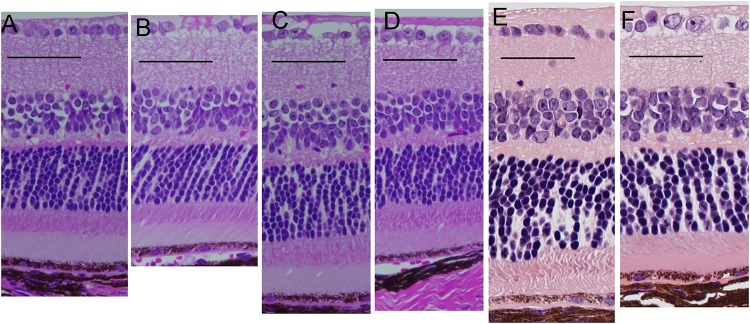 Fig 5