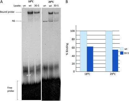 Figure 3.—