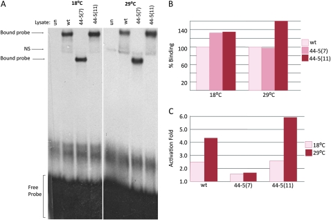 Figure 4.—