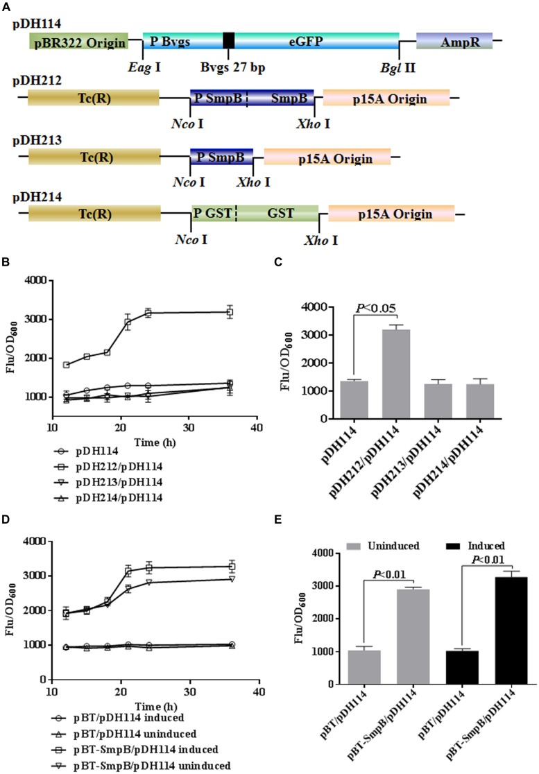 FIGURE 1