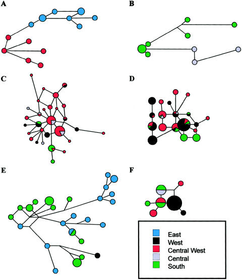 Figure  4