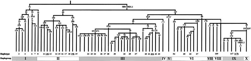 Figure  1