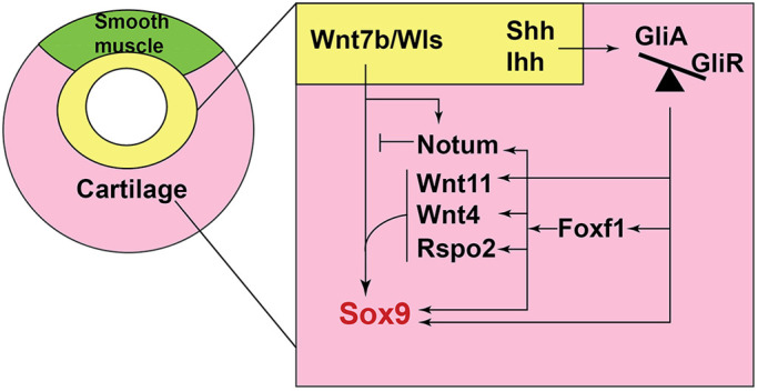 Fig. 7.