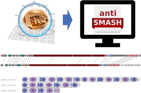 Graphical Abstract