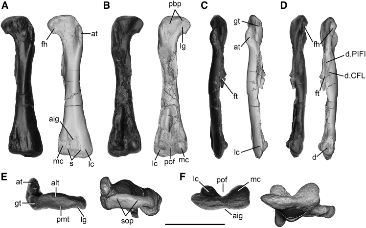 Figure 2