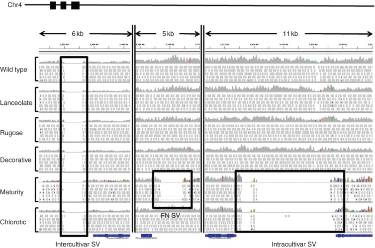 Fig. 2.