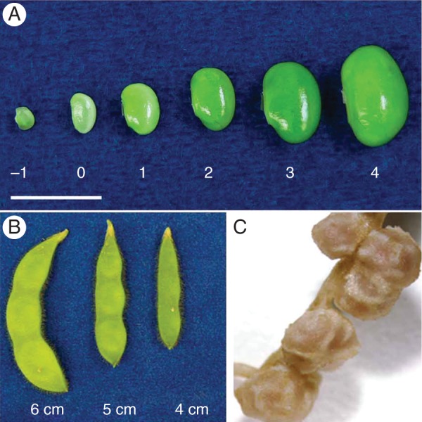 Fig. 3.