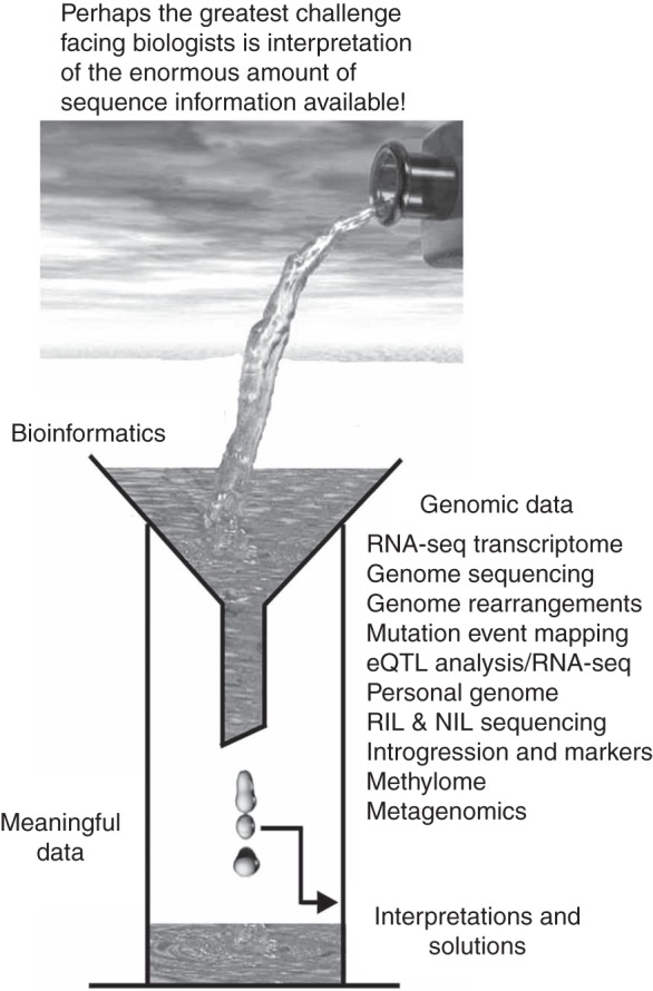 Fig. 1.