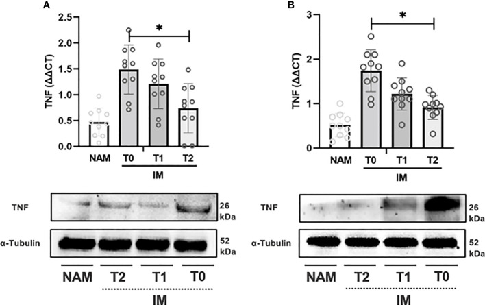 Figure 3