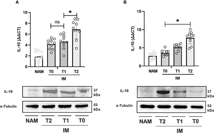 Figure 5