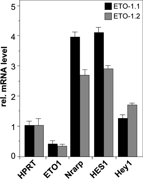 FIG. 8.