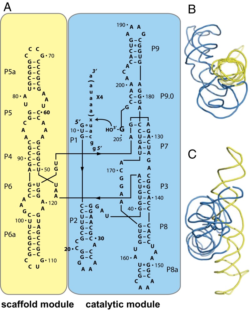 Fig. 1.