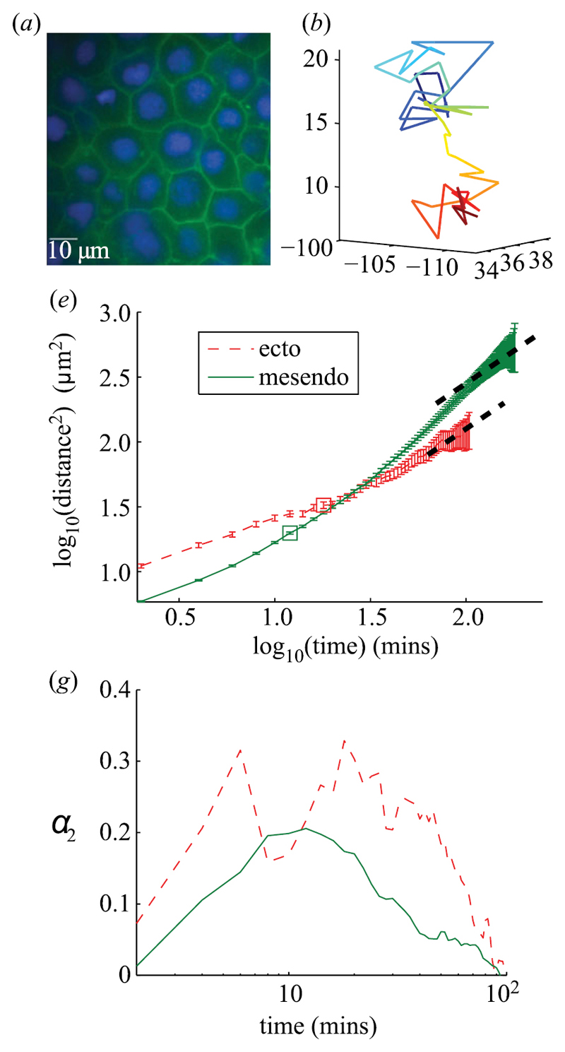 Figure 18